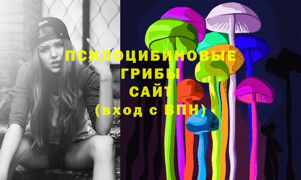 гидропоника Горняк