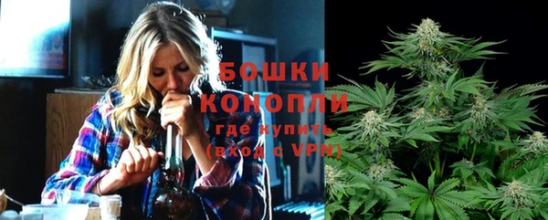 гидропоника Горняк