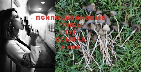 тгк Горнозаводск