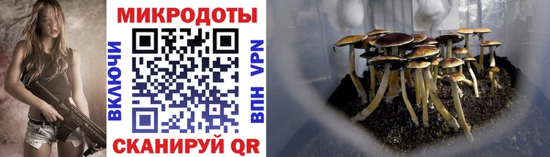 Купить закладки  Салават  Галлюциногенные грибы GOLDEN TEACHER 